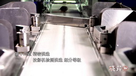 海參,大連海參,曉芹海參,海參加工 海參,大連海參,曉芹海參,海參加工