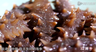 海參進(jìn)補(bǔ)從娃娃抓起，兒童吃海參的好處！