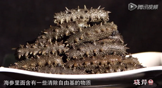 孝敬父母，為何首選海參？