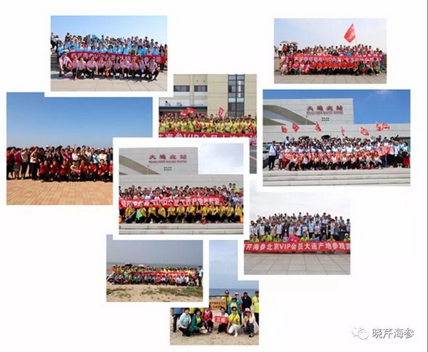 海參肽,大連海參,曉芹海參,海參,疫情,新冠,新冠肺炎 海參肽,大連海參,曉芹海參,海參,疫情,新冠,新冠肺炎